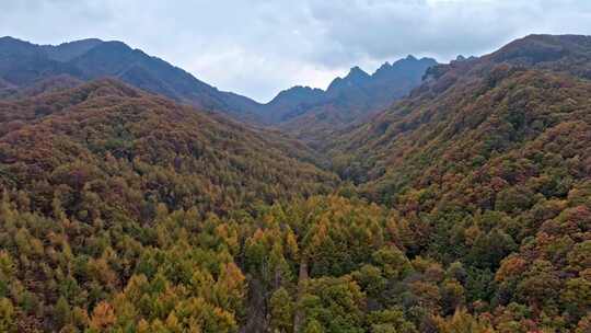 航拍洛阳嵩县白云山秋景