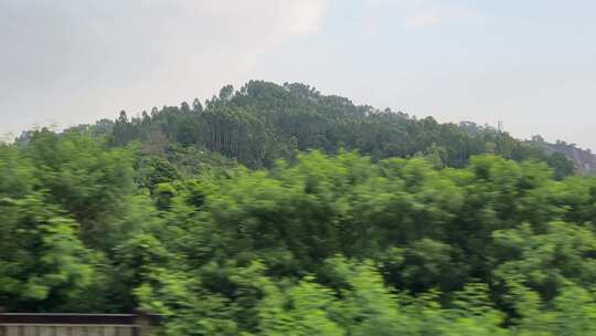 广东潮汕站至深圳北站沿途风景