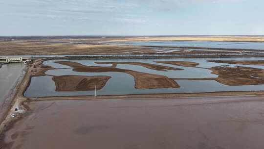 东营黄河口生态湿地冬天风光航拍