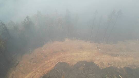 重庆山火后，北碚缙云山迎来降雨，云雾缭绕