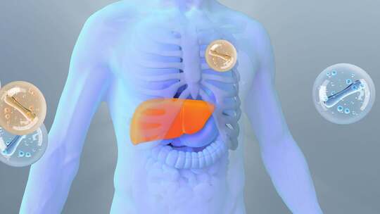 肝癌  保肝护肝 肝炎  三维肝脏视频素材模板下载
