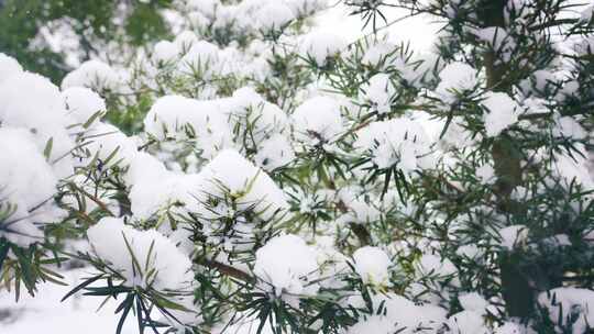 南方雪景航拍