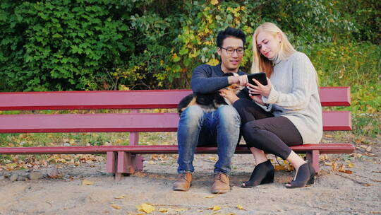 夫妇坐在公园长椅上视频素材模板下载