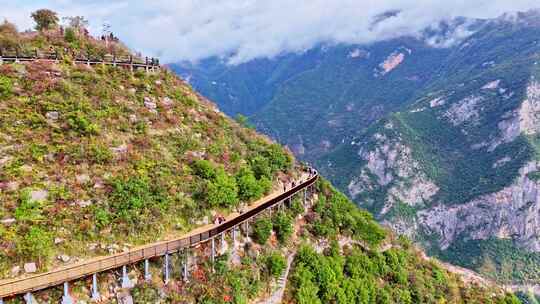 三峡红叶