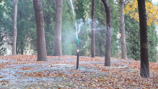 公园喷头水花灌溉浇水园林绿化视频加速