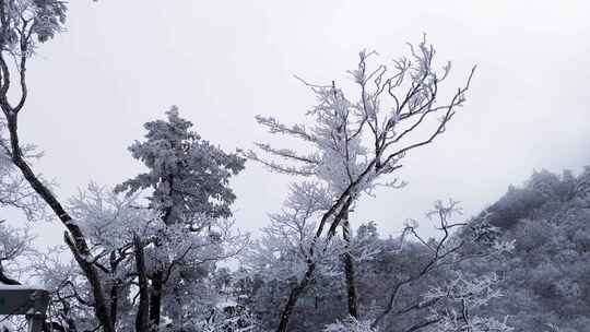 伏牛山冬季雪景雾凇