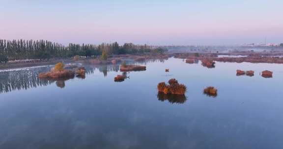 呼和浩特南湖湿地公园晨雾