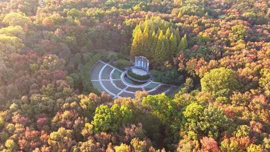 南京秋天 音乐台 中山陵风景区