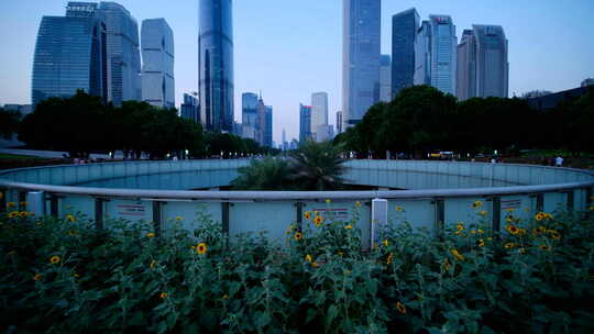 广州珠江新城夜景傍晚高楼建筑群