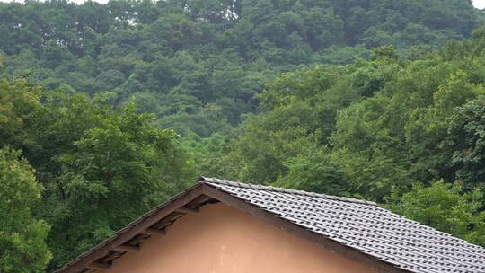 山村房屋屋顶视频素材模板下载
