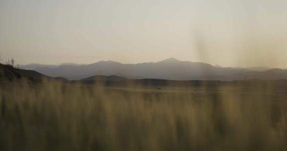 田野，庄稼，风景，地平线