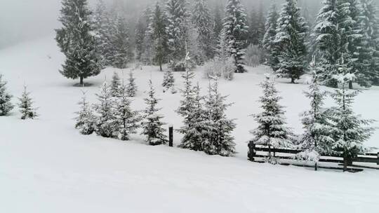 树林里农场边上的雪