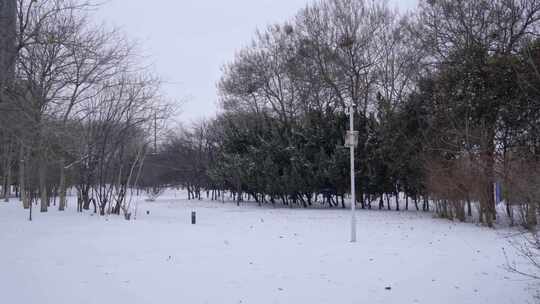 4k下雪天公园里落满雪的道路