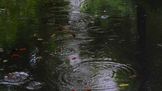 下雨雨水落在地面上雨滴涟漪