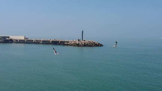 蓝色海洋大海海鸥岛屿浪花风景航拍