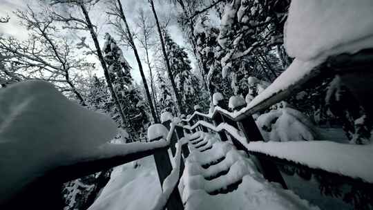 雪后森林树木景色视频素材模板下载