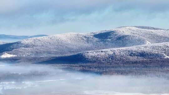 航拍冬季雾中林海雾凇视频251202-10