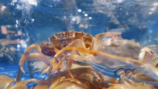 超市海鲜区海蟹螃蟹