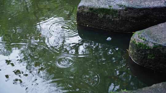 园林雨天空镜素材