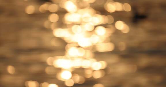 水面金色光斑特写