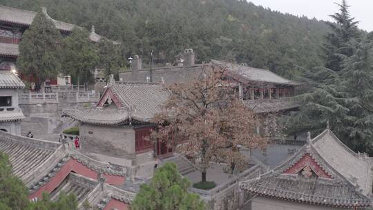 龙门石窟夜景航拍香山寺洛阳景点文化