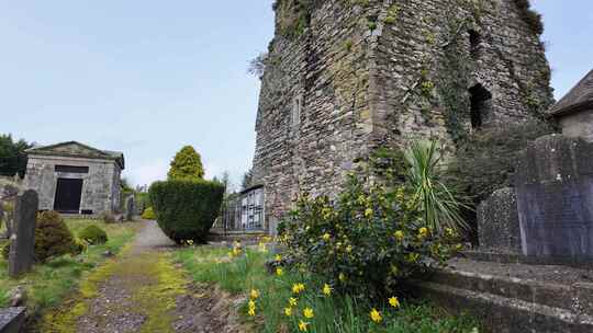春天的早晨，古老的爱尔兰墓地，城堡废墟和