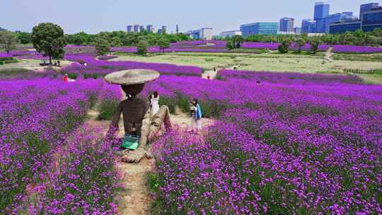 武汉光谷花海自然风景