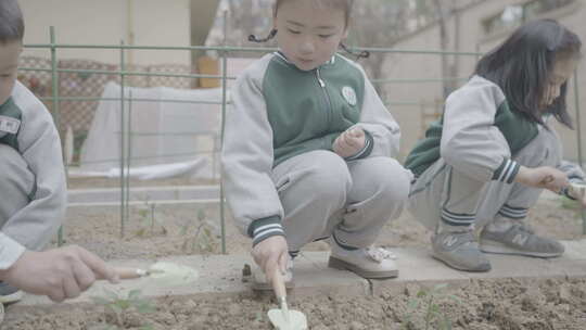 幼儿园校园生活儿童学校欢快4K素材