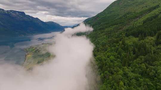 原始森林山谷山峰云雾大自然风景景观