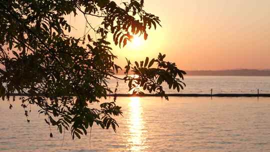 湖边树枝下的唯美日落景观