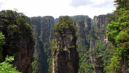 中国哈利路亚山周围的野生动物，绿色植被和