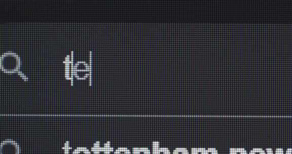 搜索栏、键入文本、文本、电脑屏幕