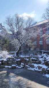 湖南大学雪景风光