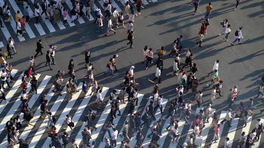 城市人群慢行