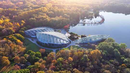 南京秋天 前湖公园 秋天 植物博物馆