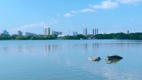 广州海珠湖公湖泊树林与城市高楼建筑景观