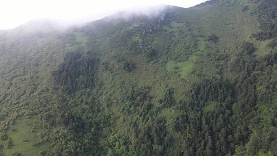 航拍湖北神农架5A景区