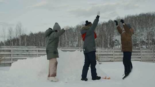 雪，冬天，乐趣，孩子们