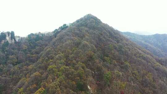 航拍秦岭山脉秋季风景云海