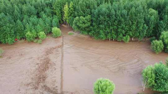 实拍暴雨后洪水 山洪  泥石流