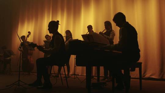 管弦乐队在剧院演出剪影