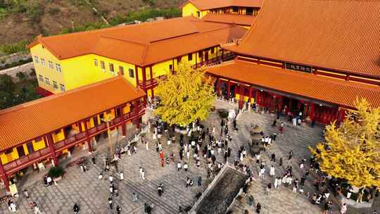 湖南长沙网红古寺庙洗心禅寺银杏唯美