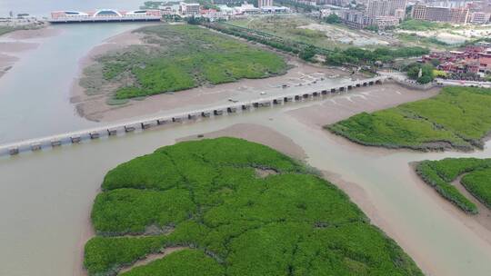 福建洛阳桥石桥泉州文化古迹万安桥四大名桥