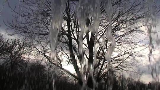 一棵雪树延时视频