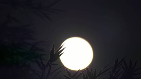 月亮升起月初月圆之夜