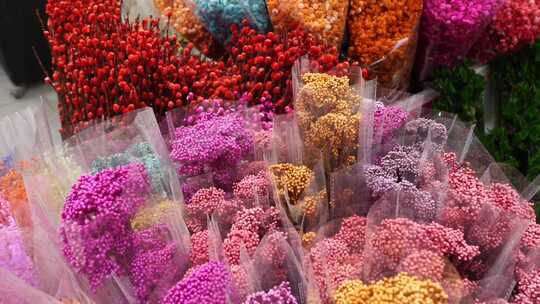 永生花 小米花 鲜花 花 植物