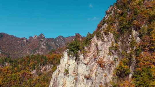 南阳老界岭秋景风光