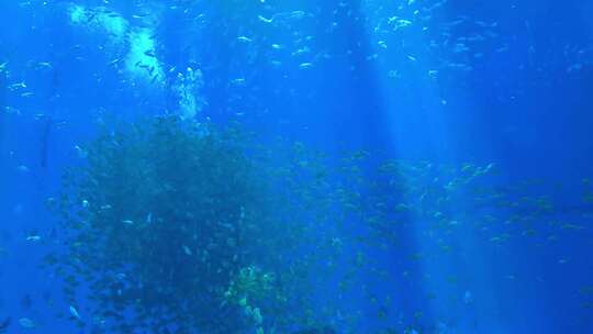 海底世界鱼类海洋馆