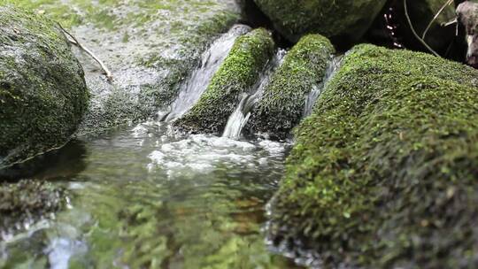清澈的水流过长满苔藓的岩石