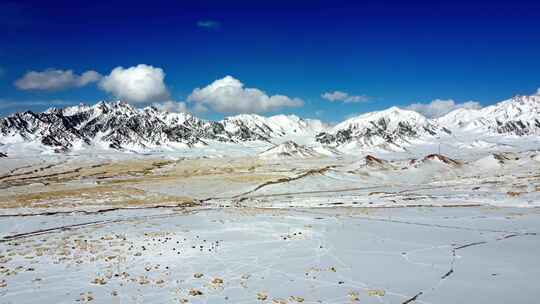 雪山 青藏高原 草原雪景 大气草原冬天